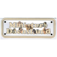 Dachshund Mini - long hair